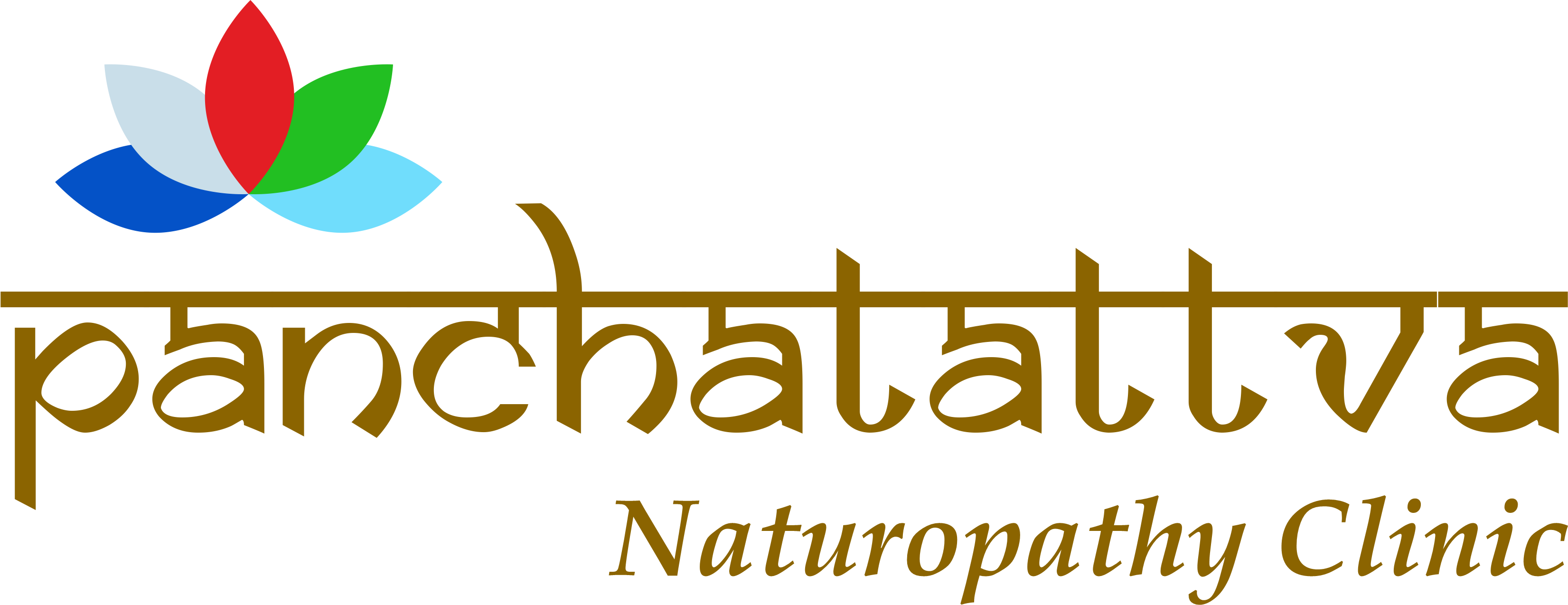 Panchatattva Naturopathy Clinic